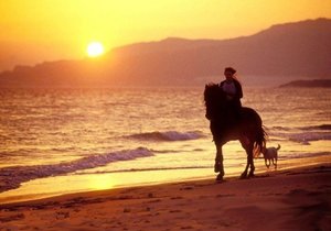 Horse riding on the beach